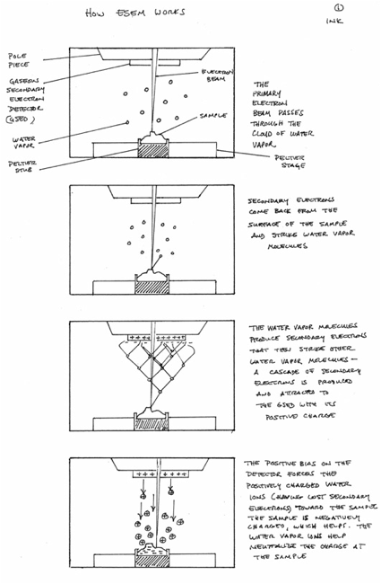 :how_it_works:inked_1.jpg